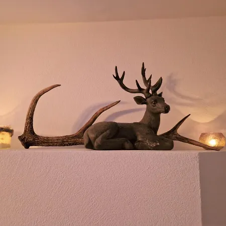 Casa Capricorn Naehe Laax Apartment Sagogn